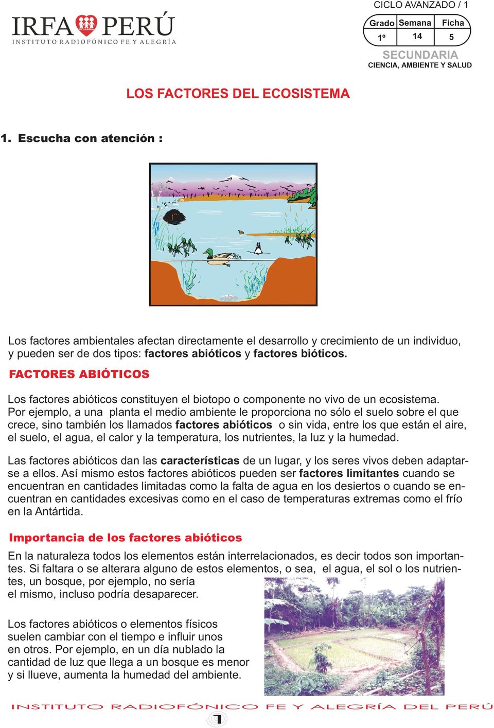 ACTORES ABIÓTICOS Los factores abióticos constituyen el biotopo o componente no vivo de un ecosistema.