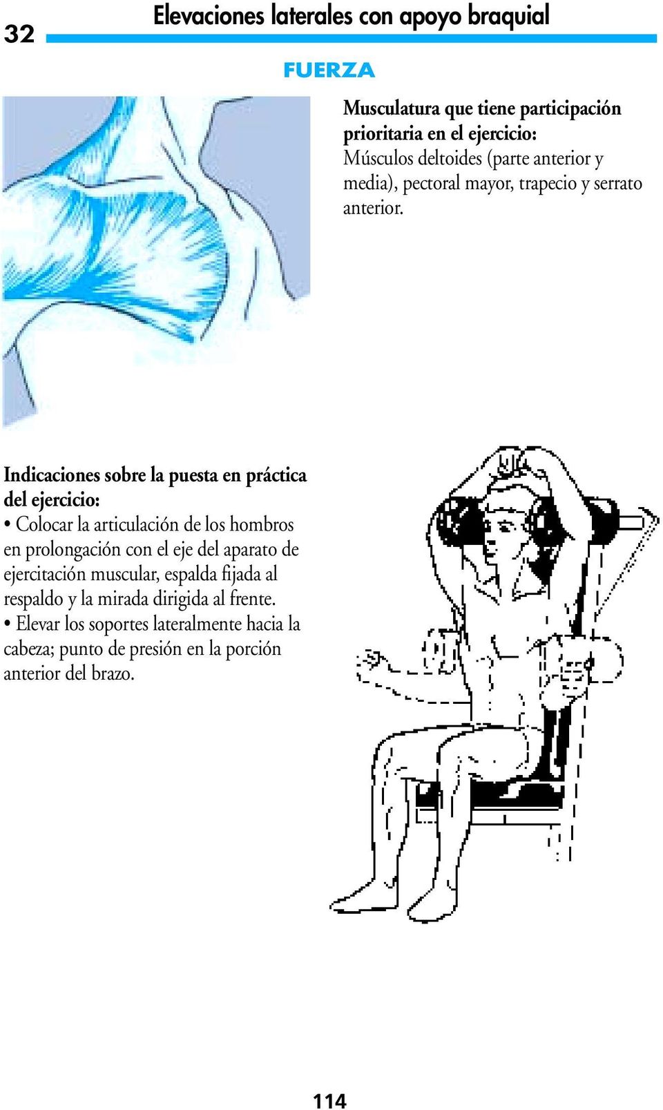 Indicaciones sobre la puesta en práctica del ejercicio: Colocar la articulación de los hombros en prolongación con el eje del