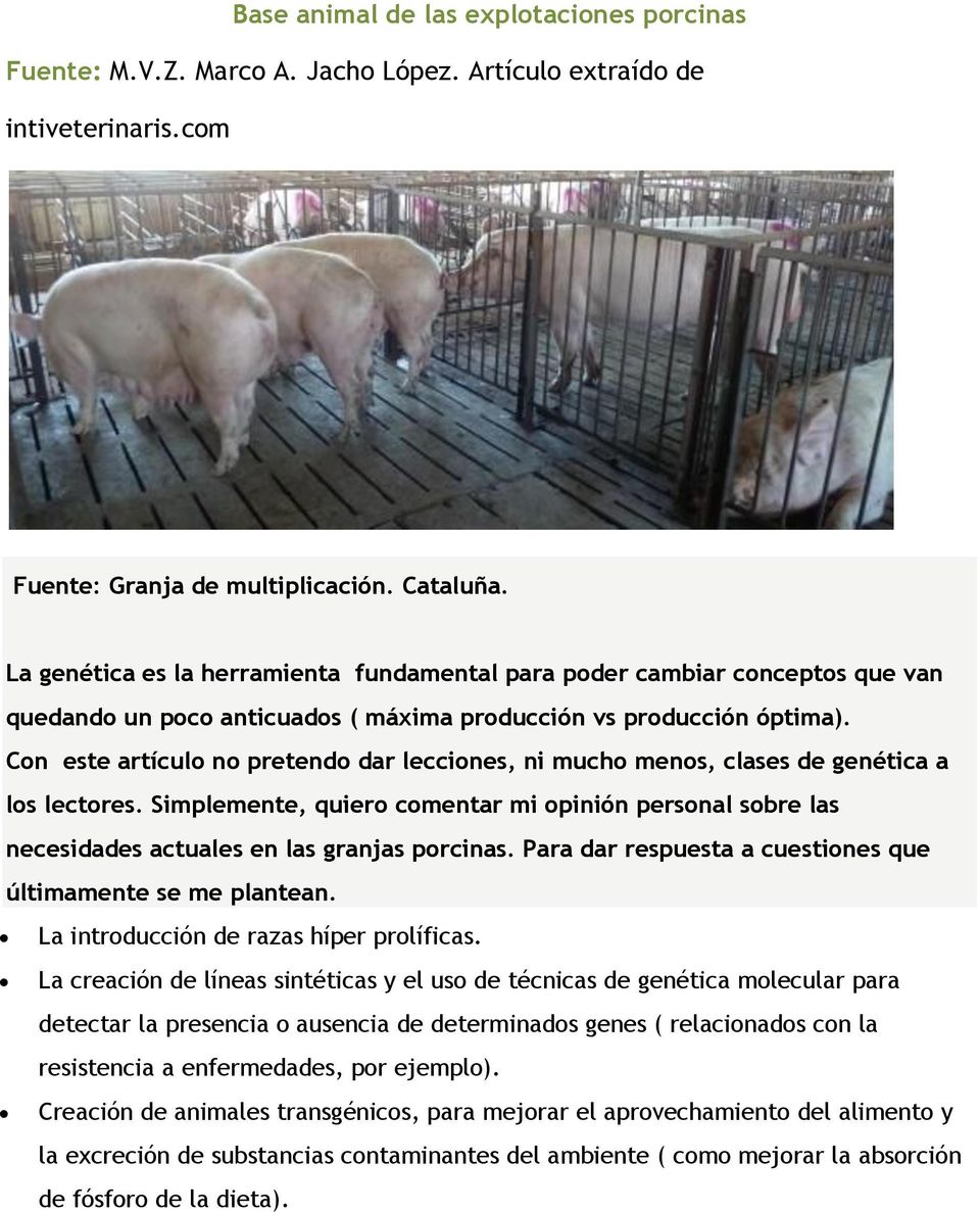 Con este artículo no pretendo dar lecciones, ni mucho menos, clases de genética a los lectores. Simplemente, quiero comentar mi opinión personal sobre las necesidades actuales en las granjas porcinas.