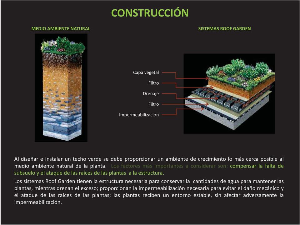 Los factores más importantes a considerar son: compensar la falta de subsuelo y el ataque de las raíces de las plantas a la estructura.