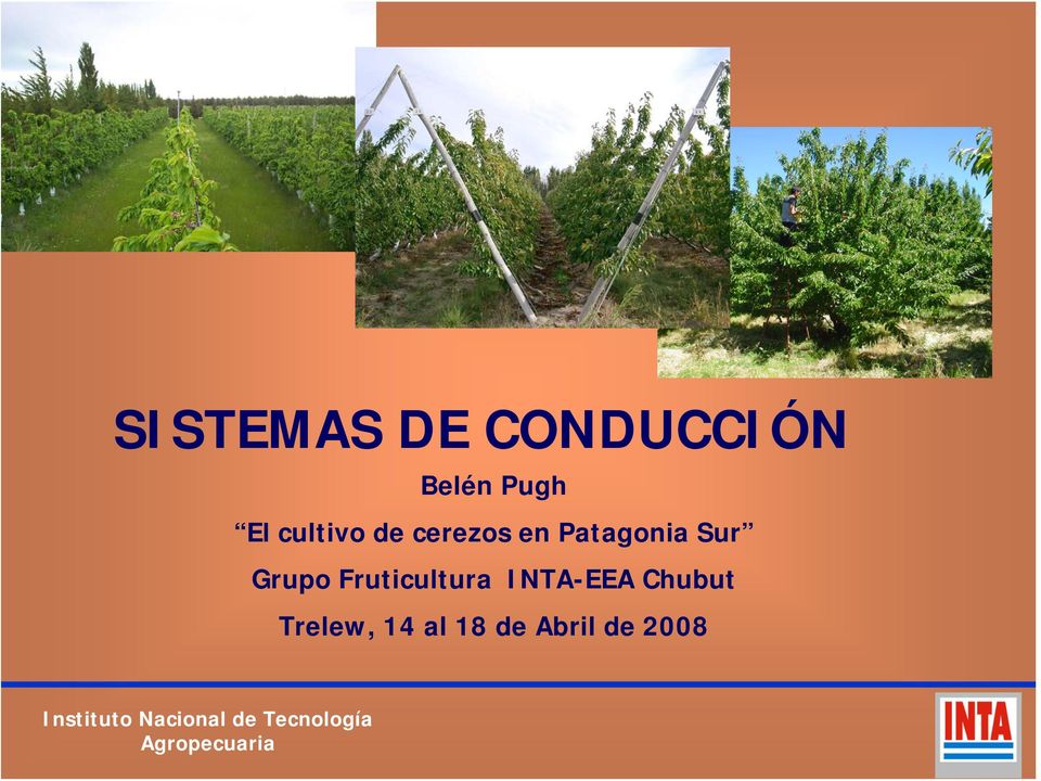 Sur Grupo Fruticultura INTA-EEA