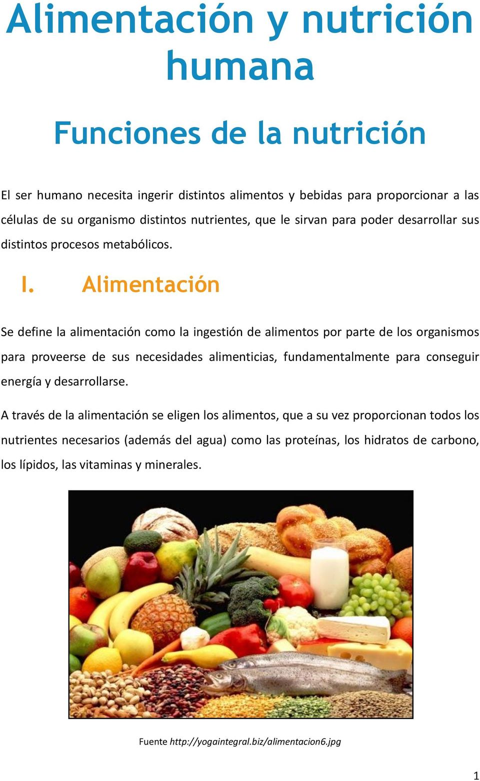 Alimentación Se define la alimentación como la ingestión de alimentos por parte de los organismos para proveerse de sus necesidades alimenticias, fundamentalmente para conseguir