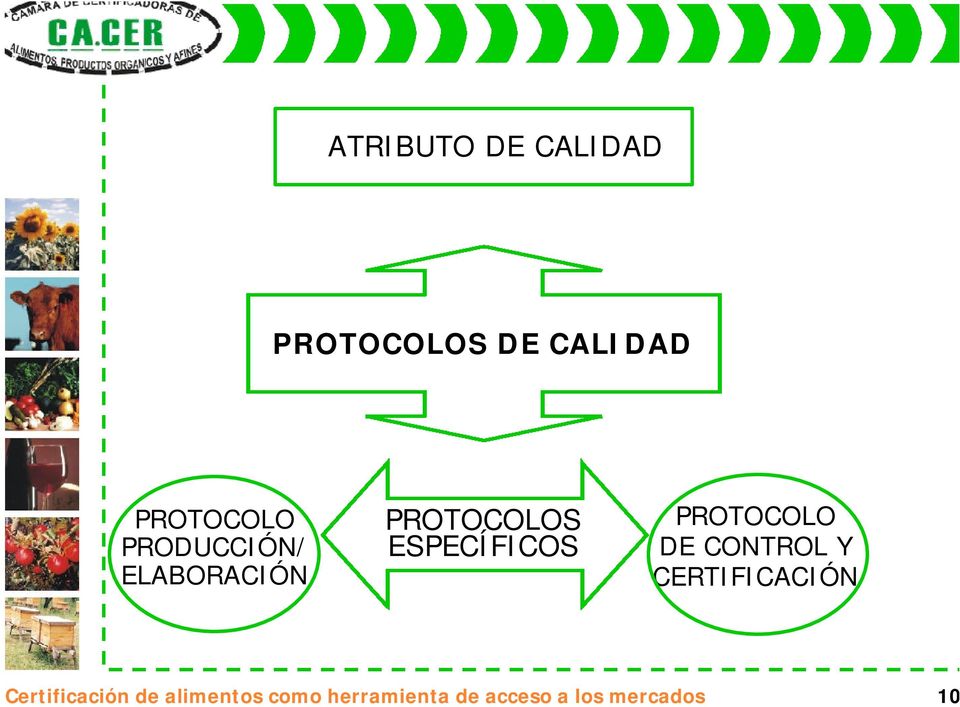 PROTOCOLO DE CONTROL Y CERTIFICACIÓN Certificación