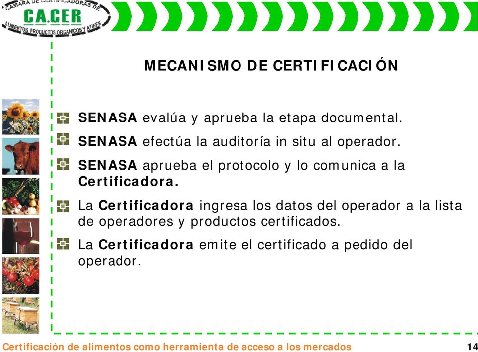 SENASA aprueba el protocolo y lo comunica a la Certificadora.