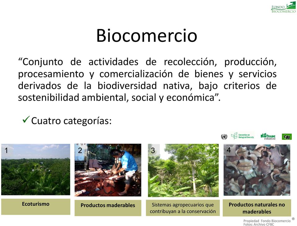 de sostenibilidad ambiental, social y económica.