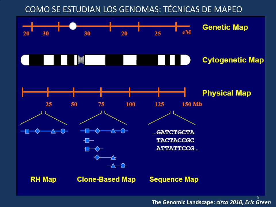 MAPEO 5 The Genomic
