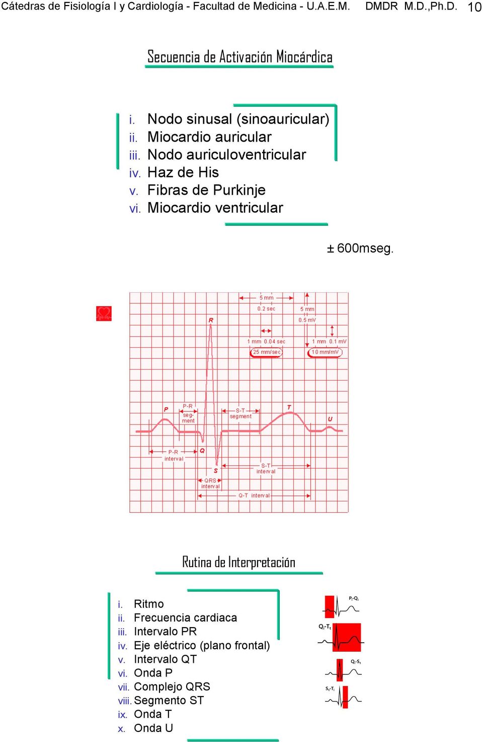 Fibras de Purkinje vi. Miocardio ventricular ± 600mseg. Rutina de Interpretación i. Ritmo ii. Frecuencia cardiaca iii.