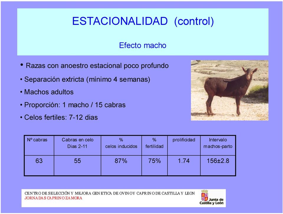 macho / 15 cabras Celos fertiles: 7-12 dias Nº cabras Cabras en celo Dias 2-11 %
