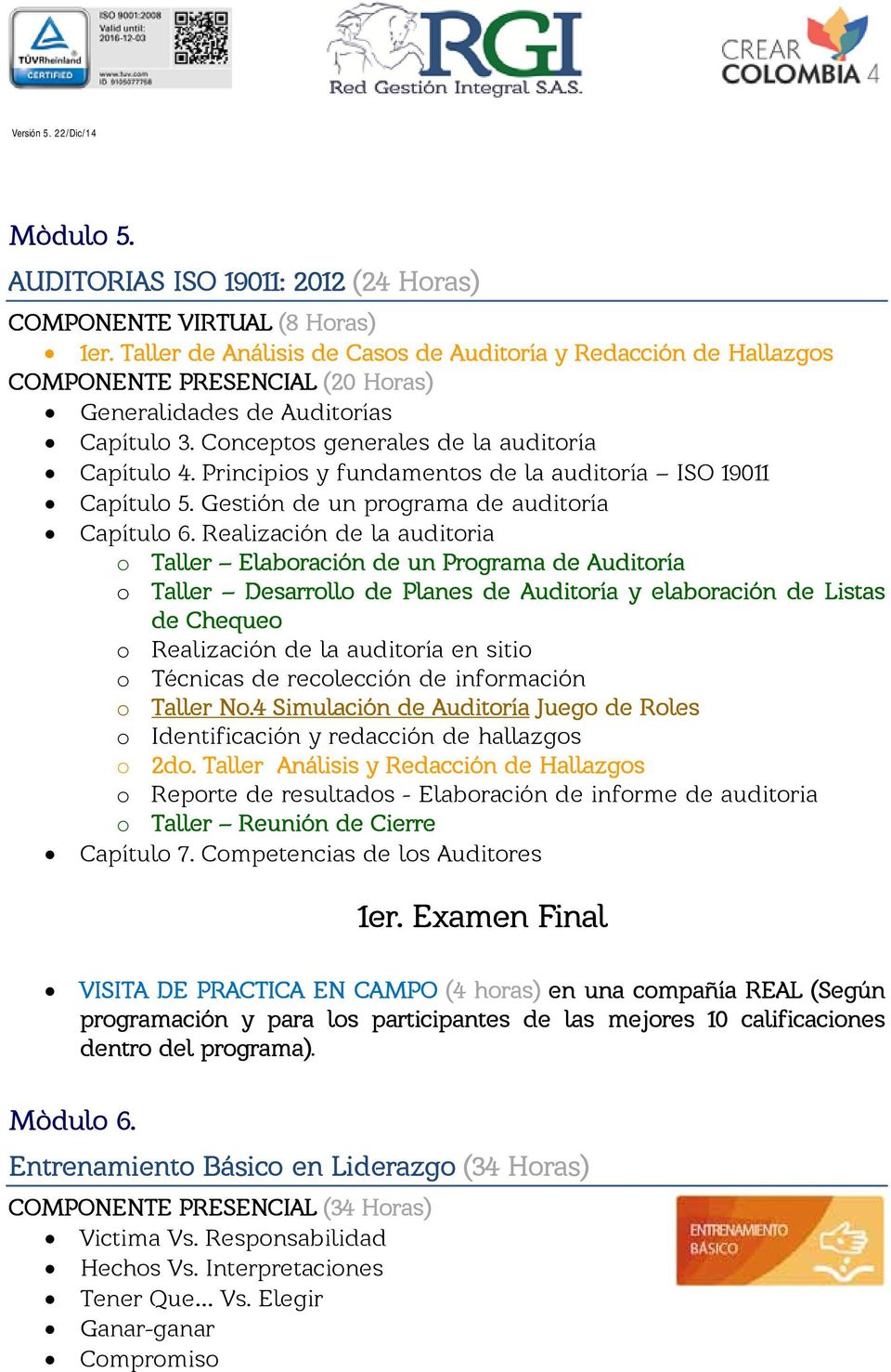 Principios y fundamentos de la auditoría ISO 19011 Capítulo 5. Gestión de un programa de auditoría Capítulo 6.