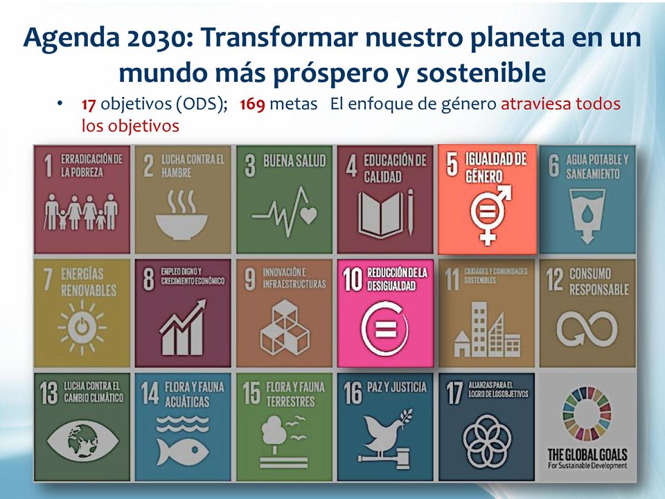 sostenible 17 objetivos (ODS); 169
