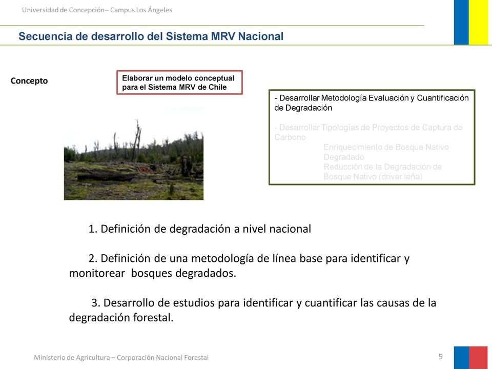 Reducción de la Degradación de Bosque Nativo (driver leña) 1. Definición de degradación a nivel nacional 2.