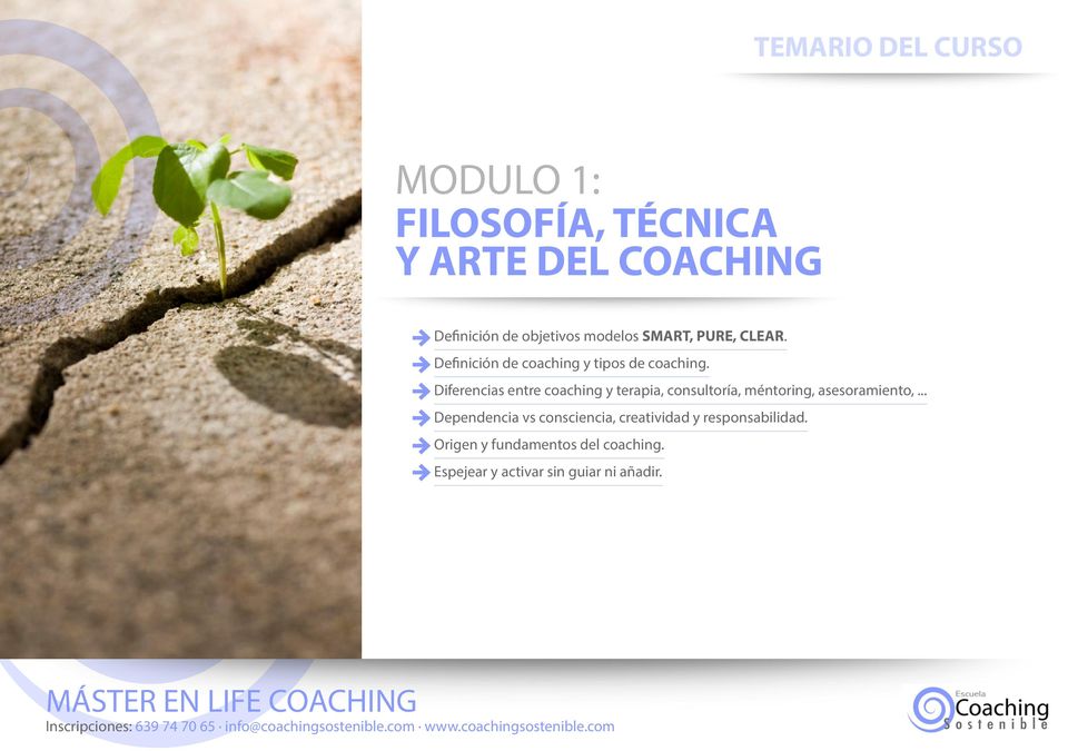 Diferencias entre coaching y terapia, consultoría, méntoring, asesoramiento,.