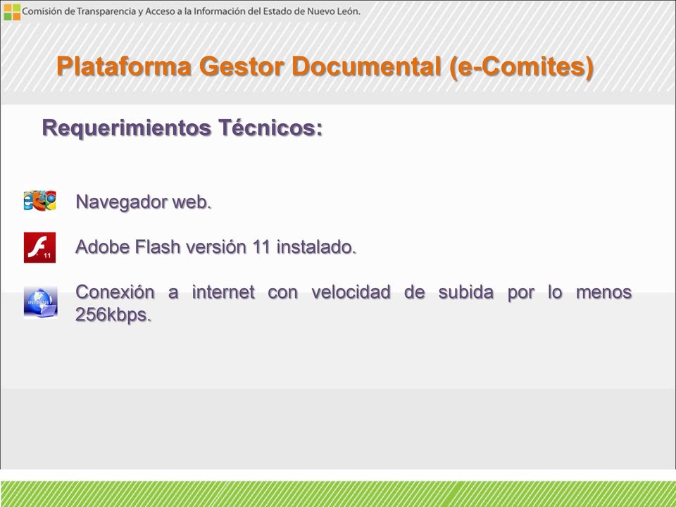 Adobe Flash versión 11 instalado.