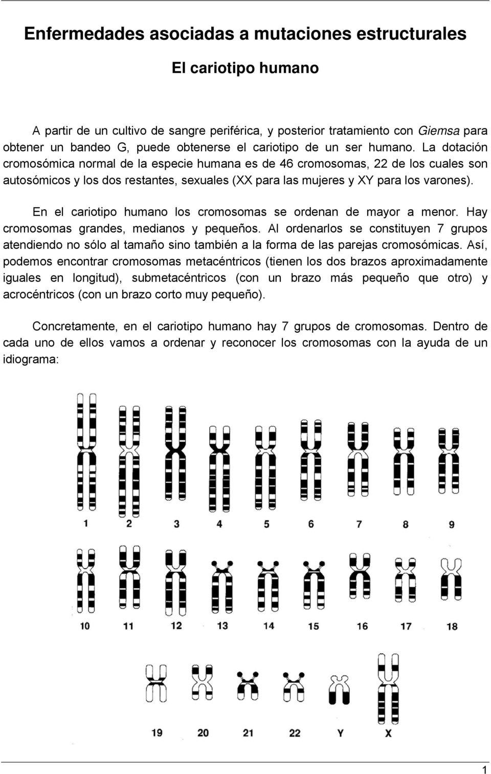 La dotación cromosómica normal de la especie humana es de 46 cromosomas, 22 de los cuales son autosómicos y los dos restantes, sexuales (XX para las mujeres y XY para los varones).
