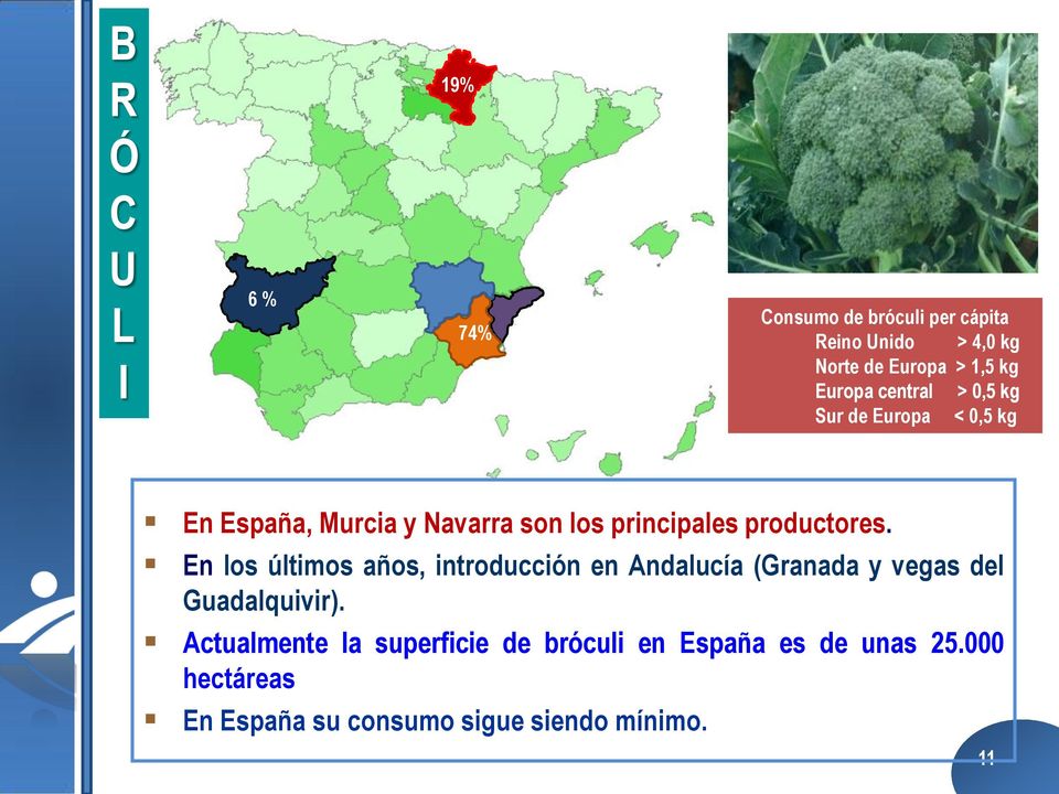 productores. En los últimos años, introducción en Andalucía (Granada y vegas del Guadalquivir).