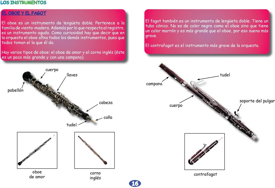 Hay varios tipos de oboe: el oboe de amor y el corno inglés (éste es un poco más grande y con una campana). El fagot también es un instrumento de lengüeta doble. Tiene un tubo cónico.