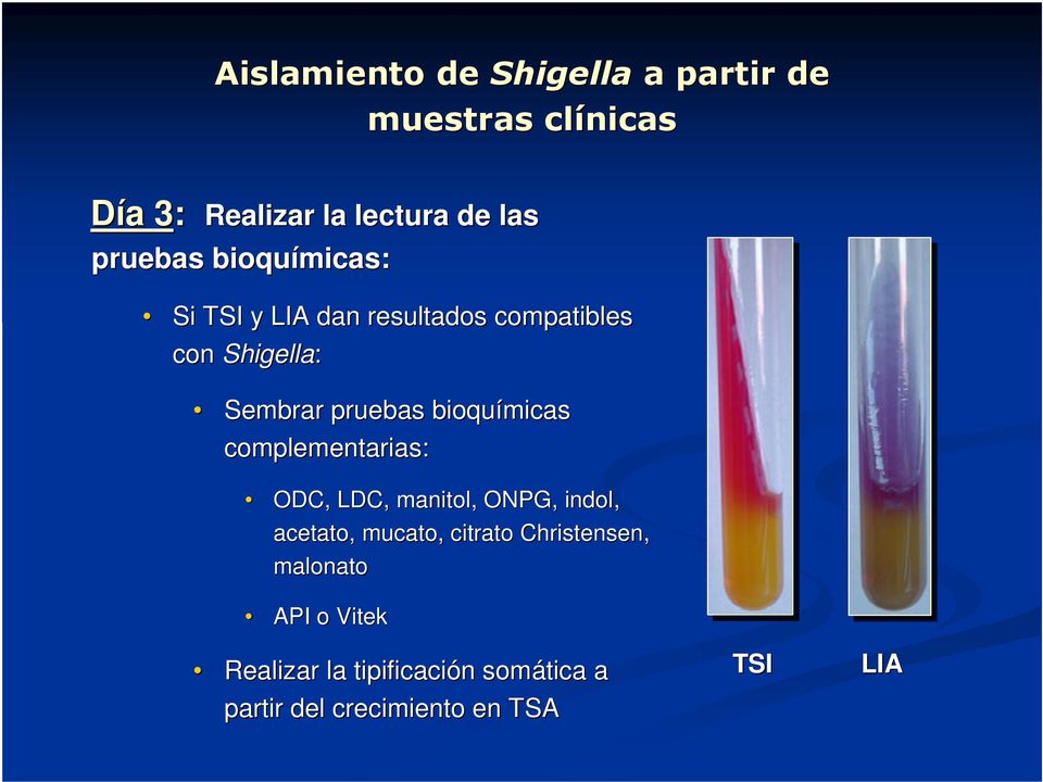 bioquímicas complementarias: ODC, LDC, manitol, ONPG, indol, acetato, mucato,, citrato