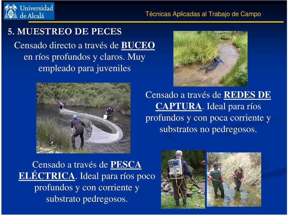 DE CAPTURA. Ideal para ríos profundos y con poca corriente y substratos no pedregosos.