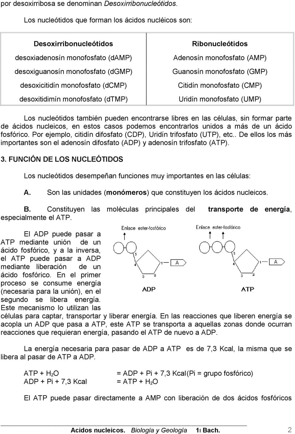 monofosfato (dtmp) Ribonucleótidos Adenosín monofosfato (AMP) Guanosín monofosfato (GMP) Citidín monofosfato (CMP) Uridín monofosfato (UMP) Los nucleótidos también pueden encontrarse libres en las