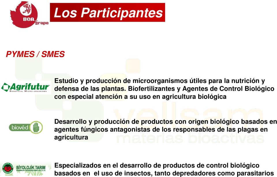 producción de productos con origen biológico basados en agentes fúngicos antagonistas de los responsables de las plagas en