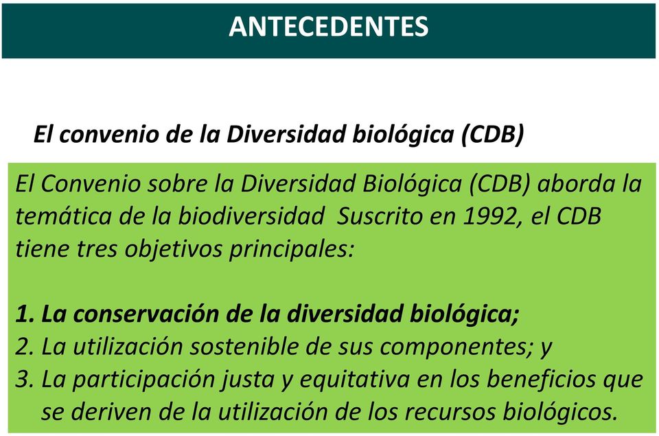 1. La conservación de la diversidad biológica; 2. La utilización sostenible de sus componentes; y 3.