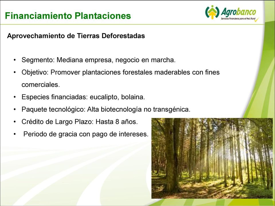 Objetivo: Promover plantaciones forestales maderables con fines comerciales.
