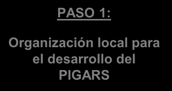 Metodología para la Formulación del PIGARS PASO 6: PASO 7: Ejecución de Proyectos y Monitoreo.