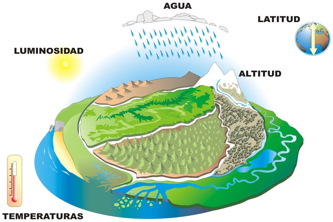 Biotopo Territorio ocupado por una biocenosis. Es el lugar físico que contiene los recursos para la vida y mantenimiento de las poblaciones.