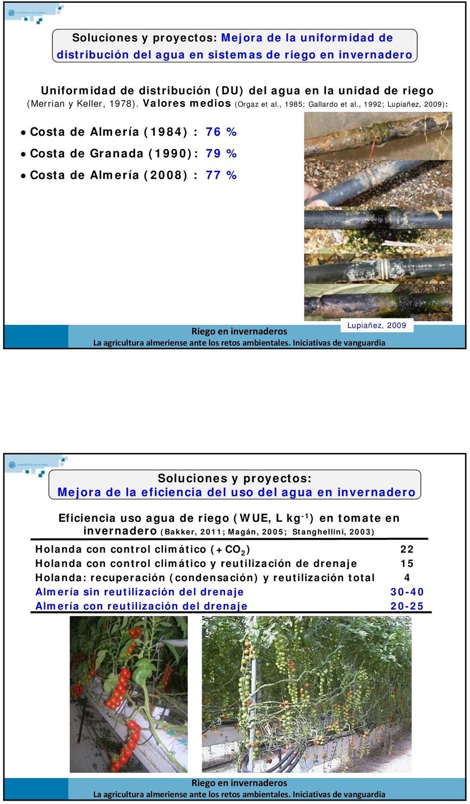 , 1992; Lupiañez, 2009): Costa de Almería (1984) : 76 % Costa de Granada (1990): 79 % Costa de Almería (2008) : 77 % Lupiañez, 2009 Mejora de la eficiencia del uso del agua en invernadero
