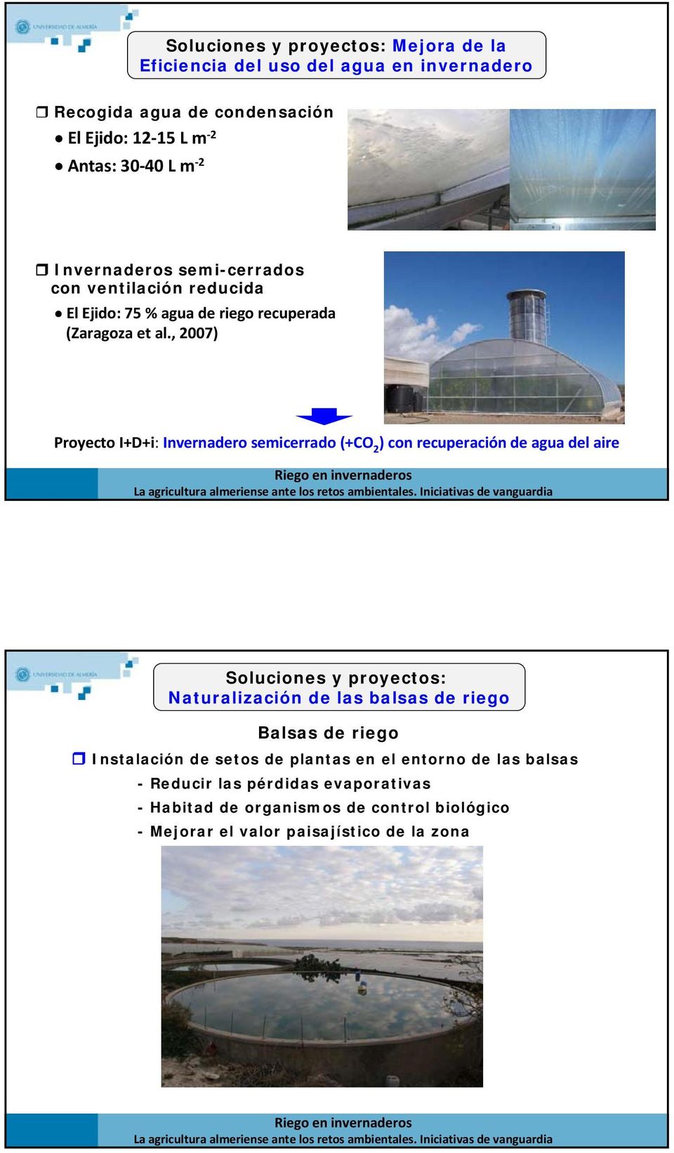 , 2007) Proyecto I+D+i: Invernadero semicerrado (+CO 2 ) con recuperación de agua del aire Naturalización de las balsas de riego Balsas de