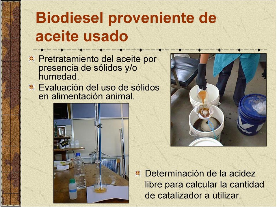 Evaluación del uso de sólidos en alimentación animal.