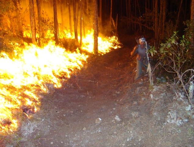Incendios forestales fortalecimiento de la capacidad de respuesta y