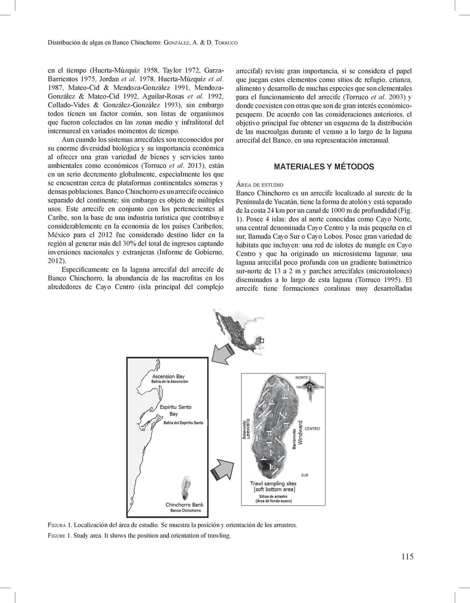 1992, Collado-Vides & González-González 1993), sin embargo todos tienen un factor común, son listas de organismos que fueron colectados en las zonas medio y infralitoral del intermareal en variados