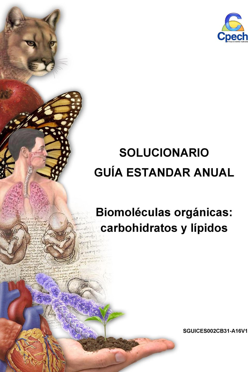 Biomoléculas orgánicas: