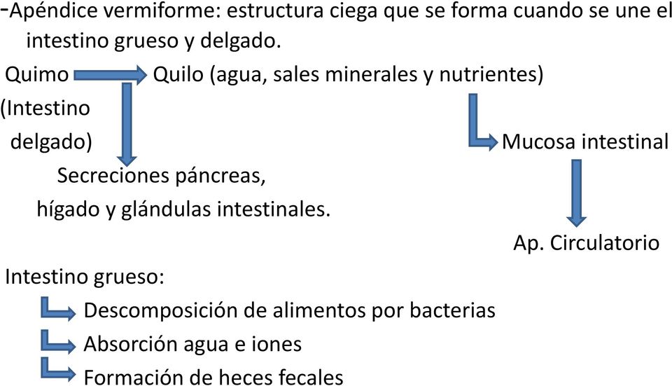 Quimo (Intestino delgado) Quilo (agua, sales minerales y nutrientes) Secreciones páncreas,