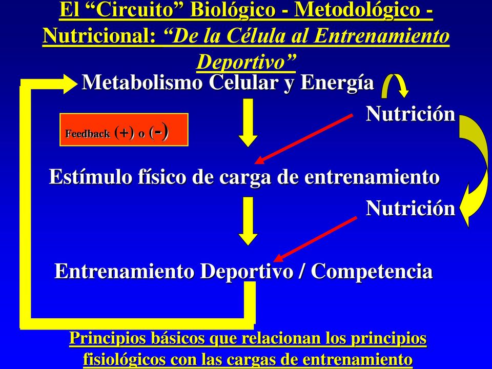 Entrenamiento Deportivo Metabolismo Celular y Energía Feedback (+) o (-) Nutrición