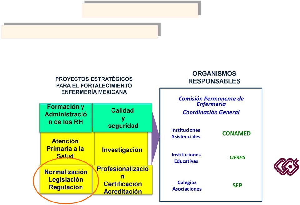 Profesionalizació n Certificación Acreditación Comisión Permanente de Enfermería Coordinación General