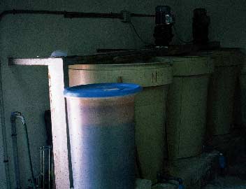 de agua de riego para higueras se calcularán en función de : Nn = ETº X Kc X F =.. litros por metro cuadrado y día. (Foto 4).