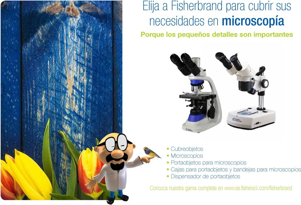 microscopios Cajas para portaobjetos y bandejas para microscopios Dispensador