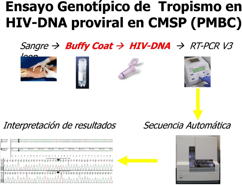 Buffy Coat HIV-DNA RT-PCR V3 loop