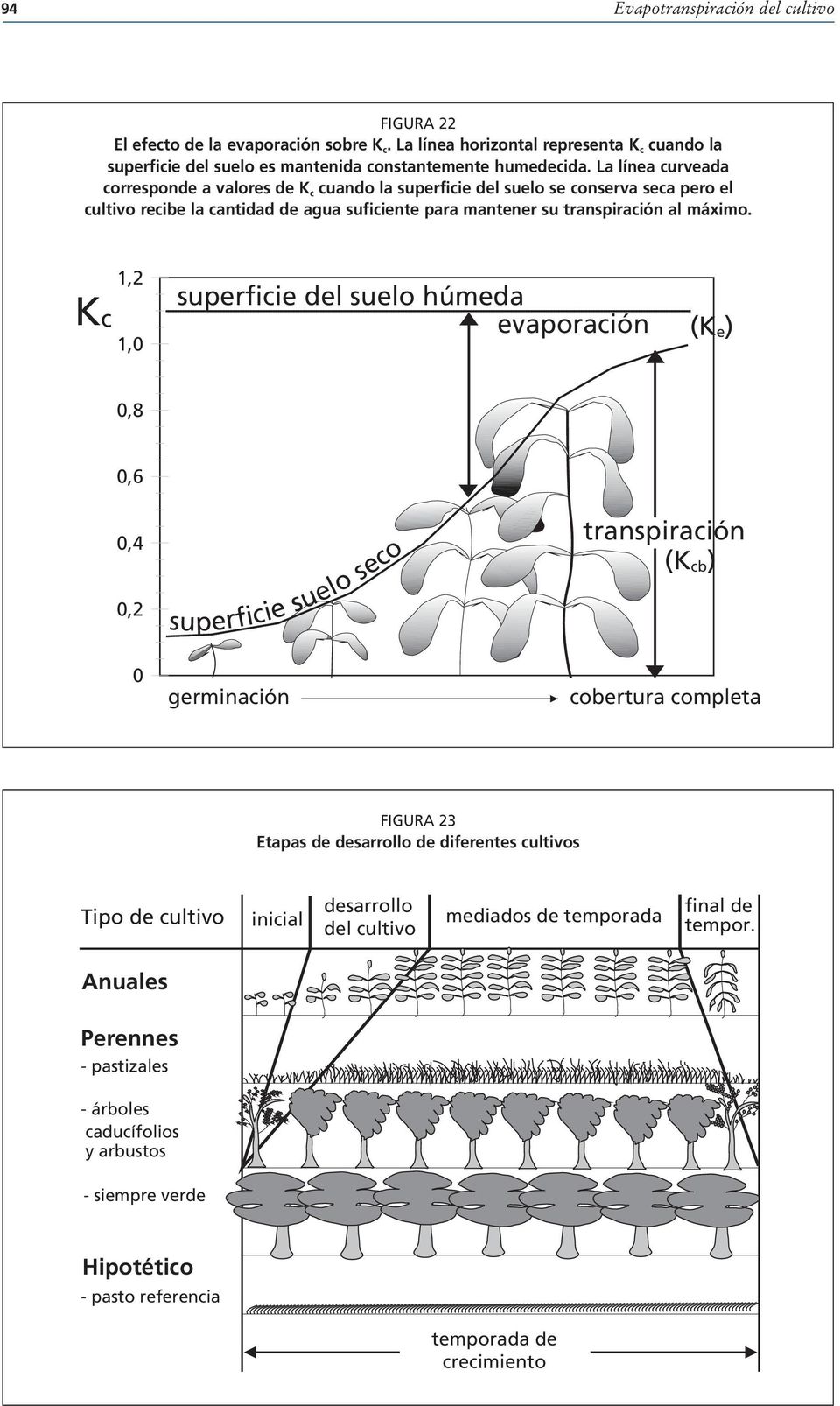 Kc 1,2 1,0 superficie del suelo húmeda evaporación (K e) 0,8 0,6 0,4 0,2 superficie suelo seco transpiración (K cb) 0 germinación cobertura completa FIGURA 23 Etapas de desarrollo de