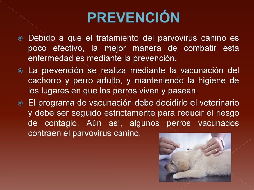 La prevención se realiza mediante la vacunación del cachorro y perro adulto, y manteniendo la higiene de los lugares en