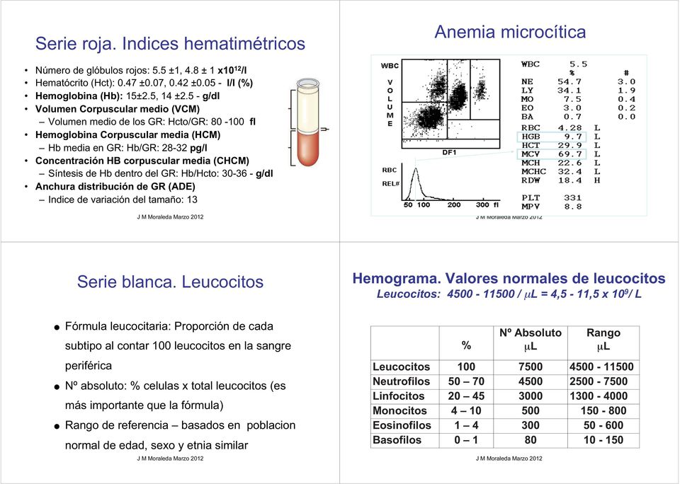 Síntesis de Hb dentro del GR: Hb/Hcto: 30-36 - g/dl Anchura distribución de GR (ADE) Indice de variación del tamaño: 13 Serie blanca. Leucocitos Hemograma.