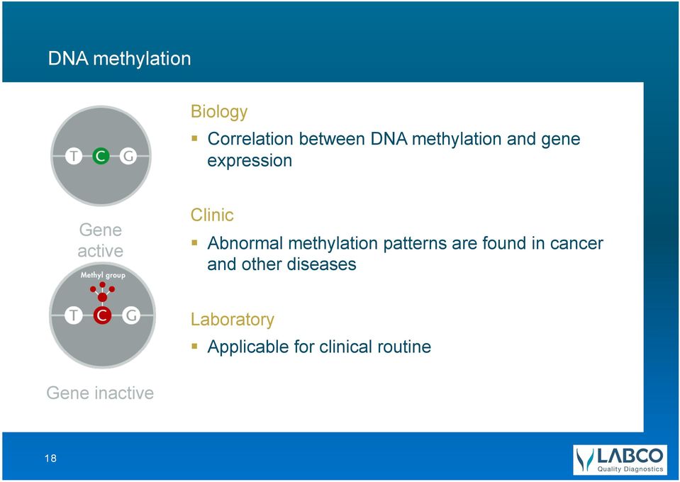Abnormal methylation patterns are found in cancer and