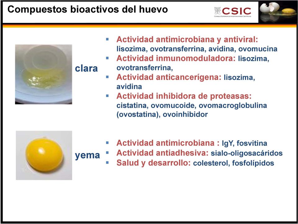 Actividad inhibidora de proteasas: cistatina, ovomucoide, ovomacroglobulina (ovostatina), ovoinhibidor yema