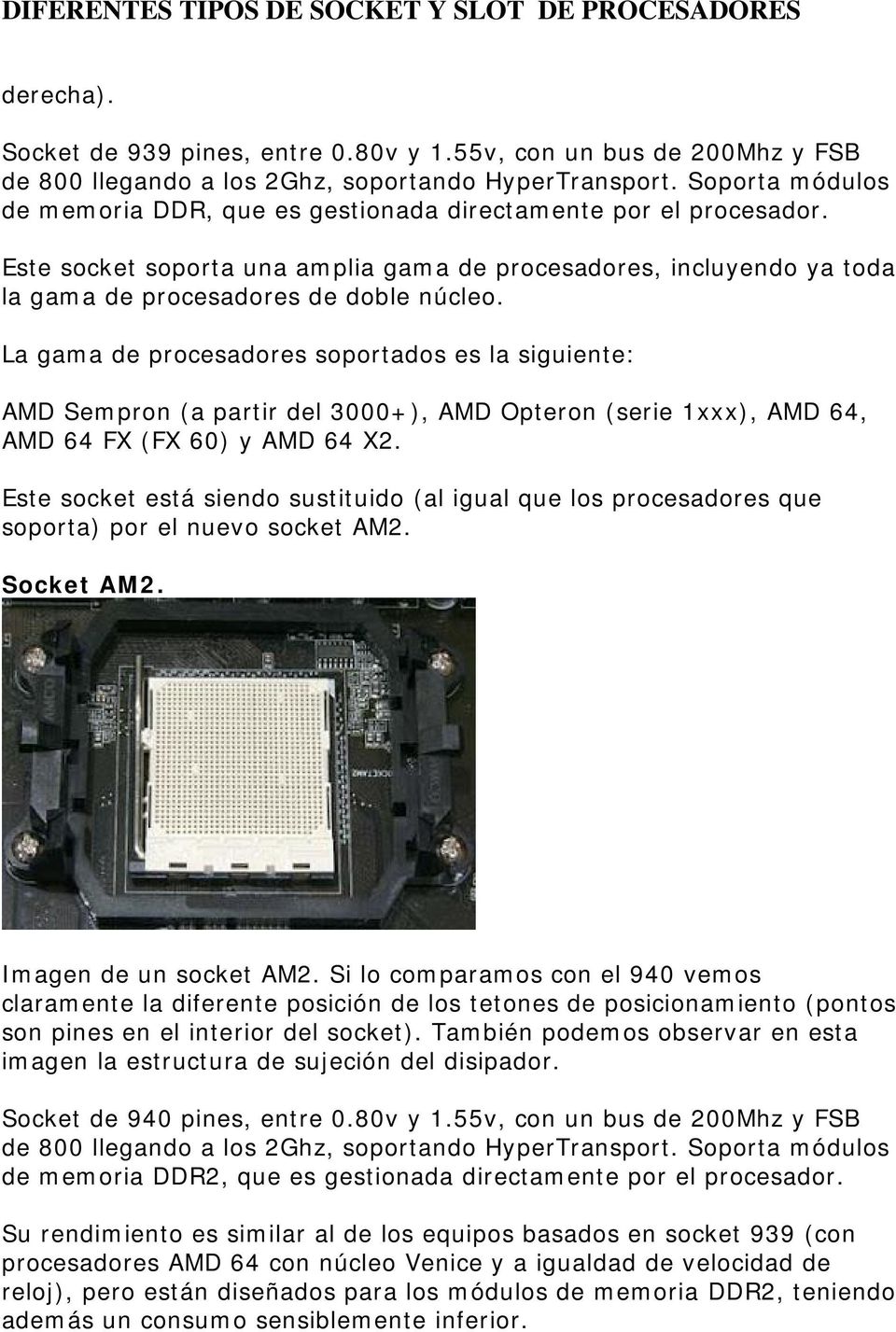 La gama de procesadores soportados es la siguiente: AMD Sempron (a partir del 3000+), AMD Opteron (serie 1xxx), AMD 64, AMD 64 FX (FX 60) y AMD 64 X2.