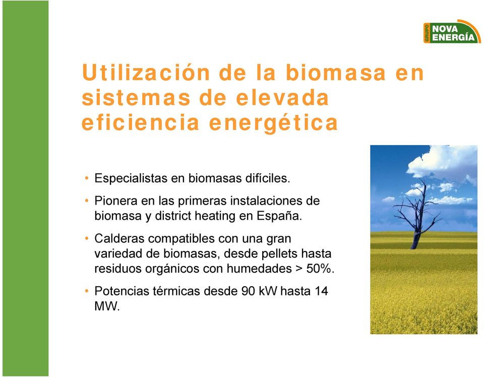 Pionera en las primeras instalaciones de biomasa y district heating en España.