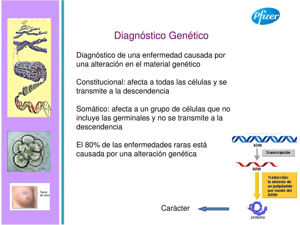 descendencia Somático: afecta a un grupo de células que no incluye las germinales y no se