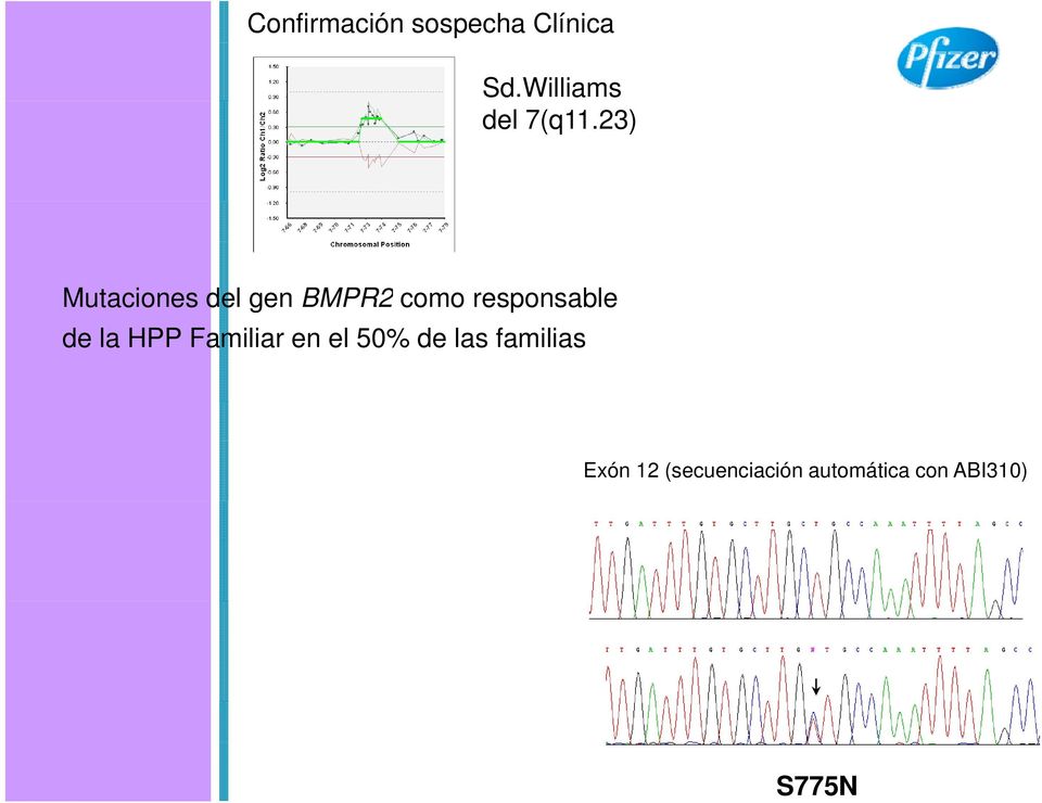 23) Mutaciones del gen BMPR2 como responsable de
