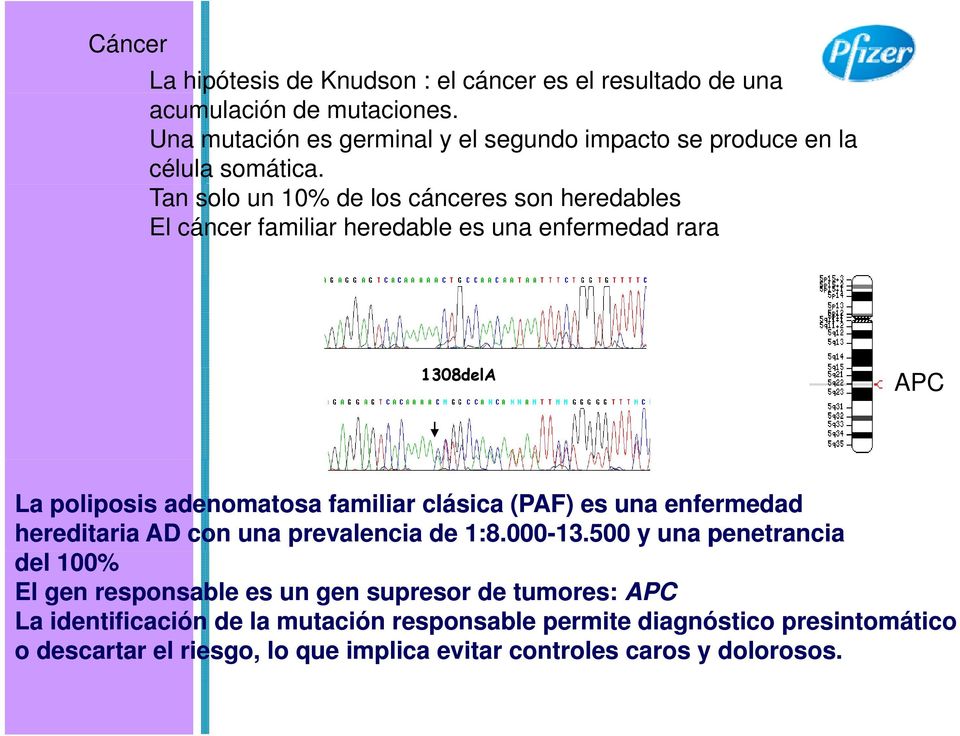 Tan solo un 10% de los cánceres son heredables El cáncer familiar heredable es una enfermedad rara 1308delA APC La poliposis adenomatosa familiar clásica (PAF)